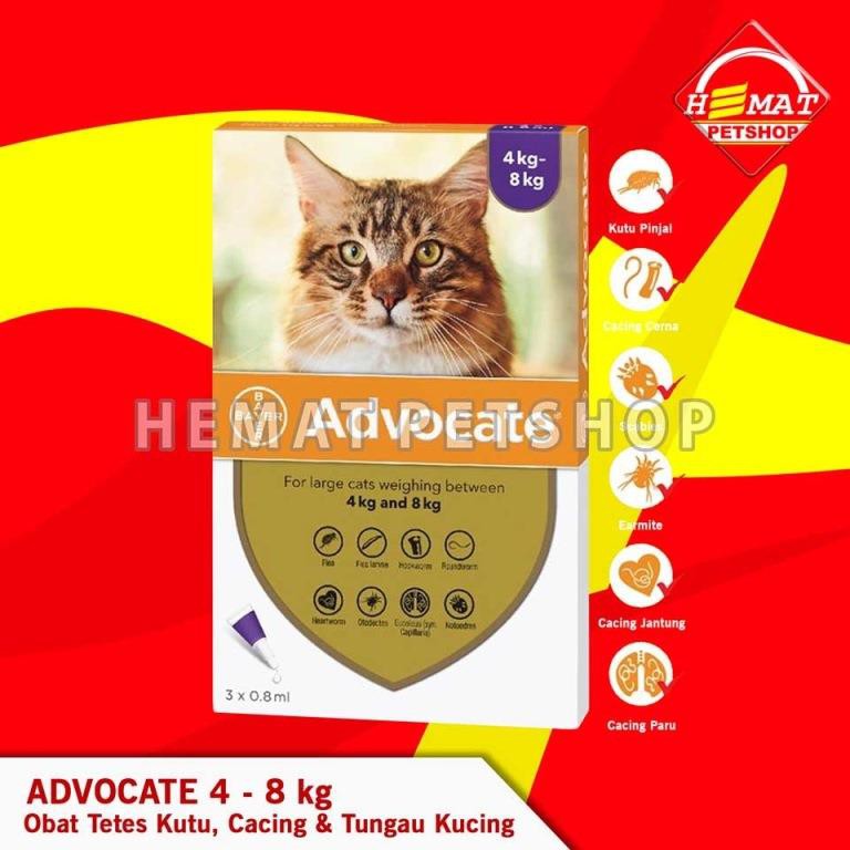 Obat Tetes Kutu Cacing Tungau Flea Scabies Kucing Advocate 4 – 8 KG