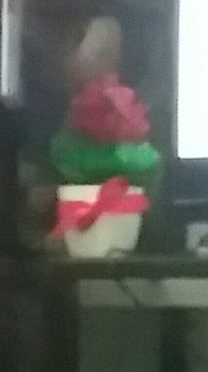 Pinus - Pot Tanaman Pohon Hias Vas Bunga Dekorasi Ornamen Tanaman Bonsai Buatan Untuk Hiasan Rumah