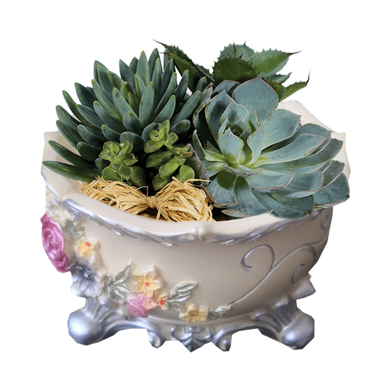 SIY  Epoxy Mold Dish Succulent Flower Pot Silicone Mold Mirror Resin Storage Mold