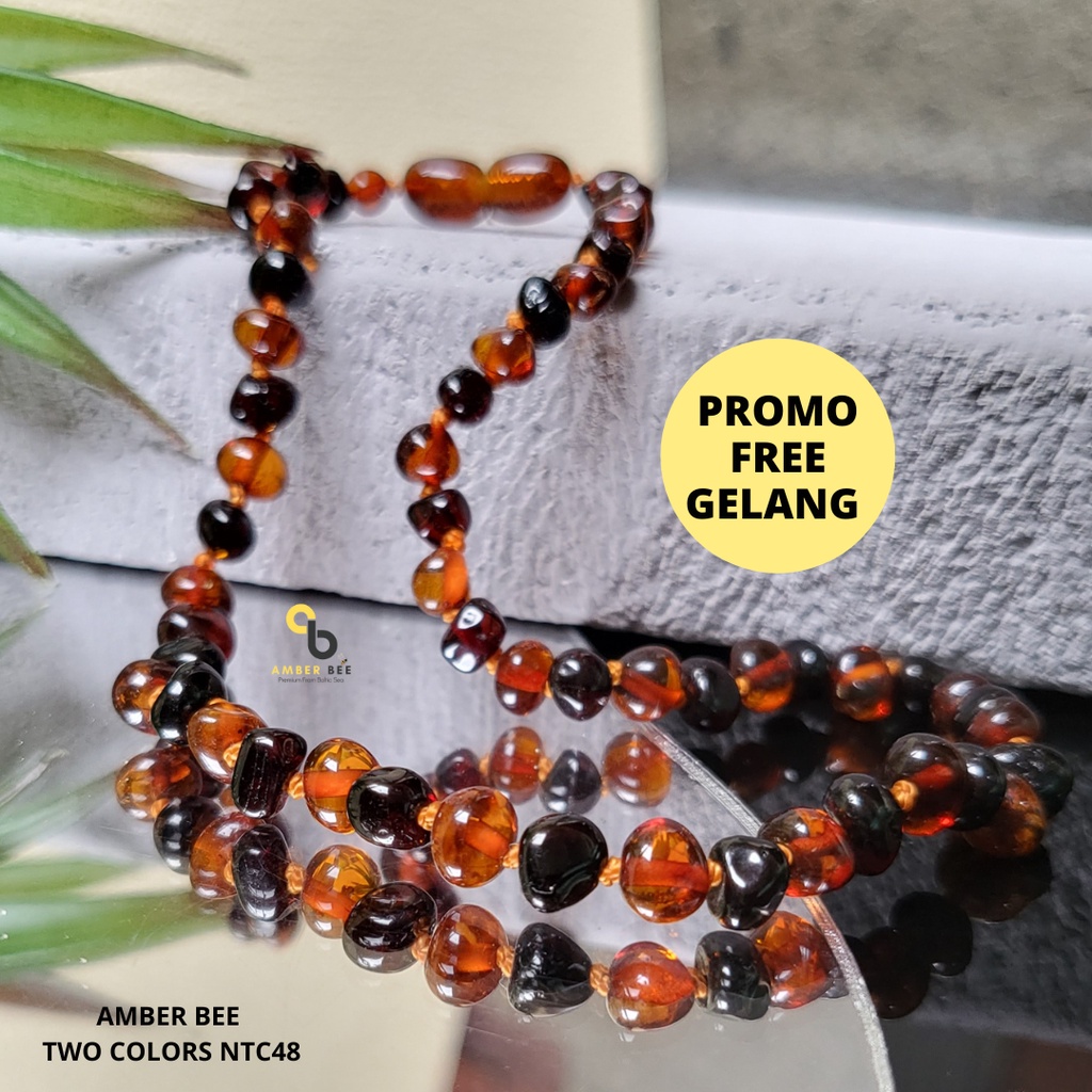 Kalung Amber Bayi dan Anak Premium Glossy Cherry Cognac NGCC48 By Amber Bee