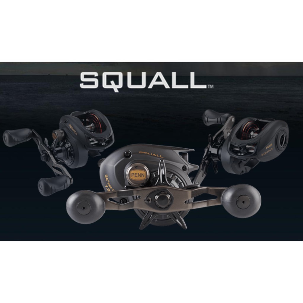 REEL PENN SQUALL LOW PROFILE REEL SQUAL 200LPHS / REEL PEEN BC PENN SQUALL