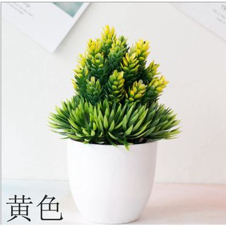 PTT ORNAMEN TANAMAN POHON PINUS ARTIFICIAL FLOWER PTT ORNAMEN TANAMAN POHON PINUS ARTIFICIAL FLOWER