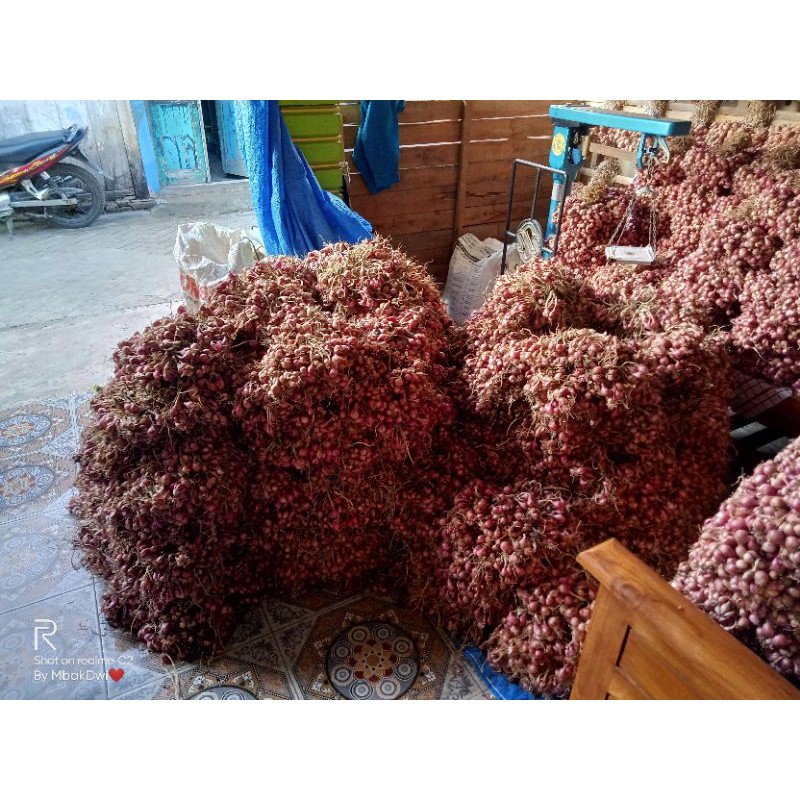 

Bawang merah