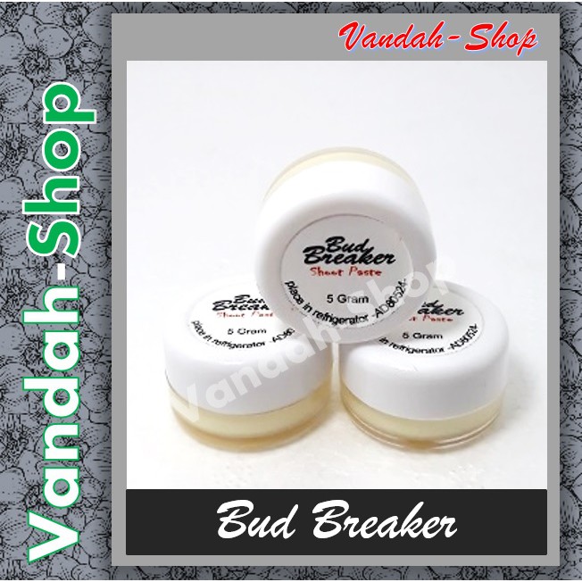 Bud Breaker Salep Pemicu Tunas Pohon / Keiki pada Tanaman Anggrek