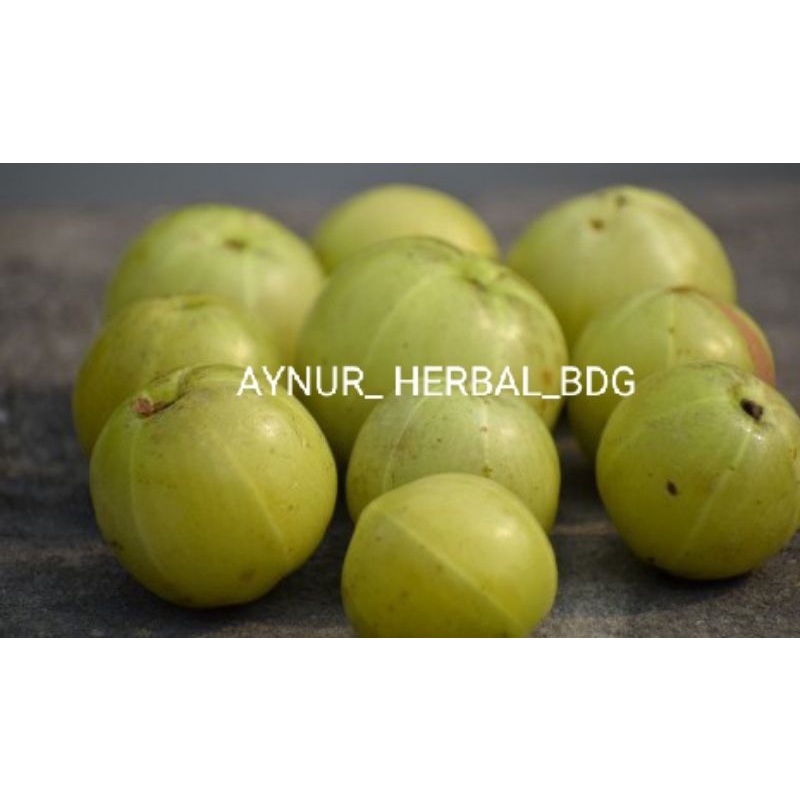 

Buah Malaka fresh 500 gram
