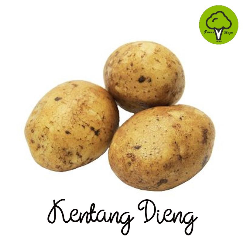 

KENTANG DIENG [500GR]