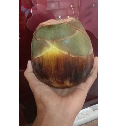 ➝ Buah Siwalan/buah lontar/buah ental khas kota Tuban ..,..