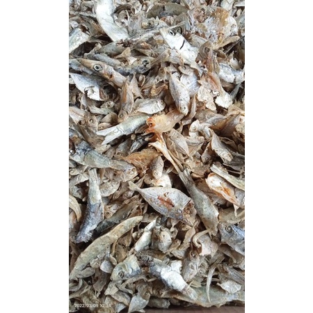 

Ikan sampah kemasan 250gram