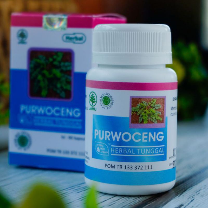 PURWOCENG Herbal Indo Utama HIU - Kapsul Ekstrak Purwoceng | Pimpinella alpina