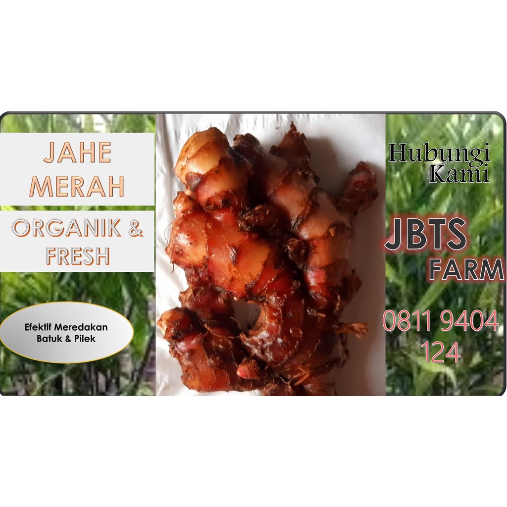 

JAHE MERAH