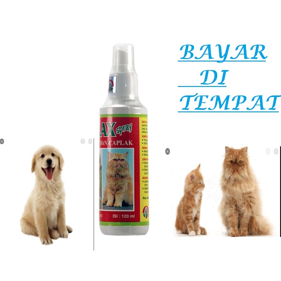 OBAT KUTU KUCING ANJING SEMPROT CAPLAK TUNGAU CAPLAX SPRAY