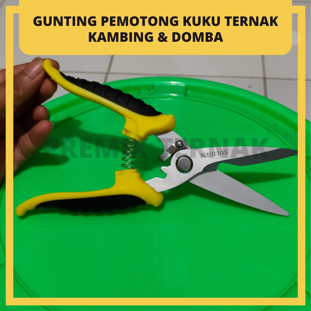 Gunting Kuku Kambing Domba KUNING - Alat Potong Kuku Domba -  Sheep Nail Clippers