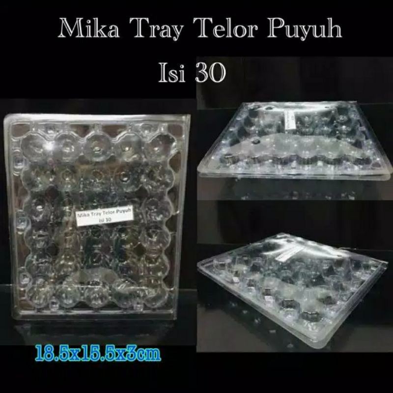 mika telur puyuh tray egg tray telur puyuh mika telor puyuh mika tempat telur