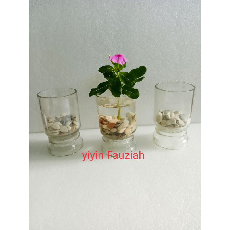 vas bunga gelas botol kaca termurah pot bunga kaca antik unik