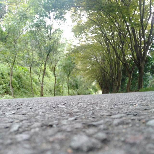 zr6pjijz8pcqabt168npybq31ubu