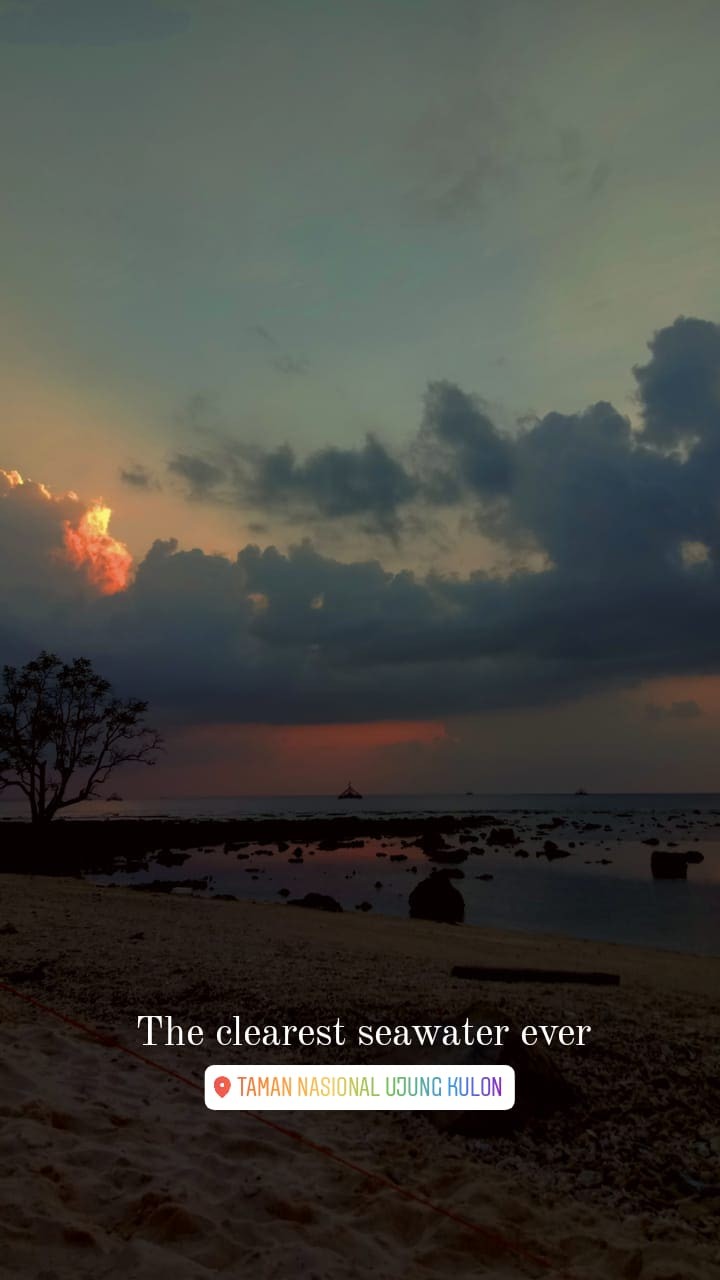 New Arrival Distro Batik Pria Bordir Sogan Hrb026 Batikaf Notoarto Batik Ipnu-ippnu Hem Pria Bel