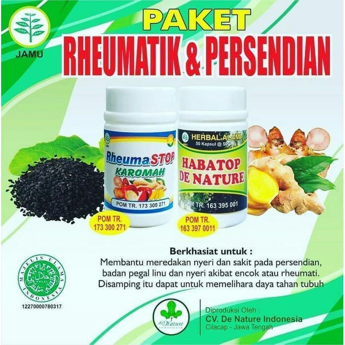 Obat Herbal Rematik Kaki