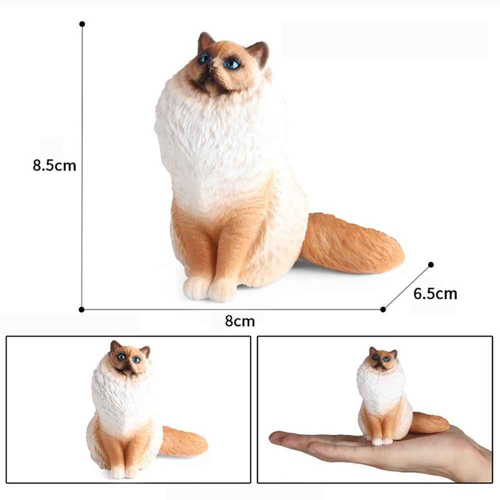 R-flower Boneka Ragdoll Cat Untuk Anak-Anak