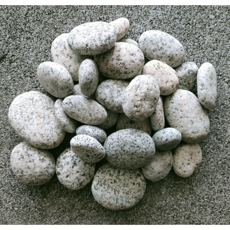 Batu coral telur puyuh 1kg, batu hias taman, batu terapi, batu kolam