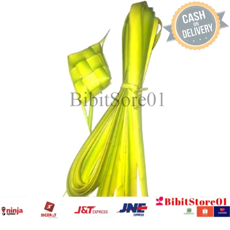 

Janur / Daun kelapa muda isi 20 batang