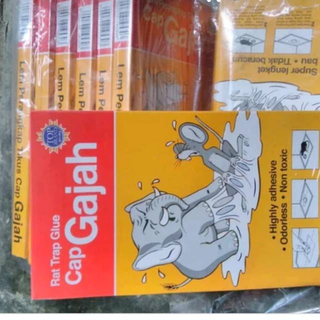 

Lem tikus papan