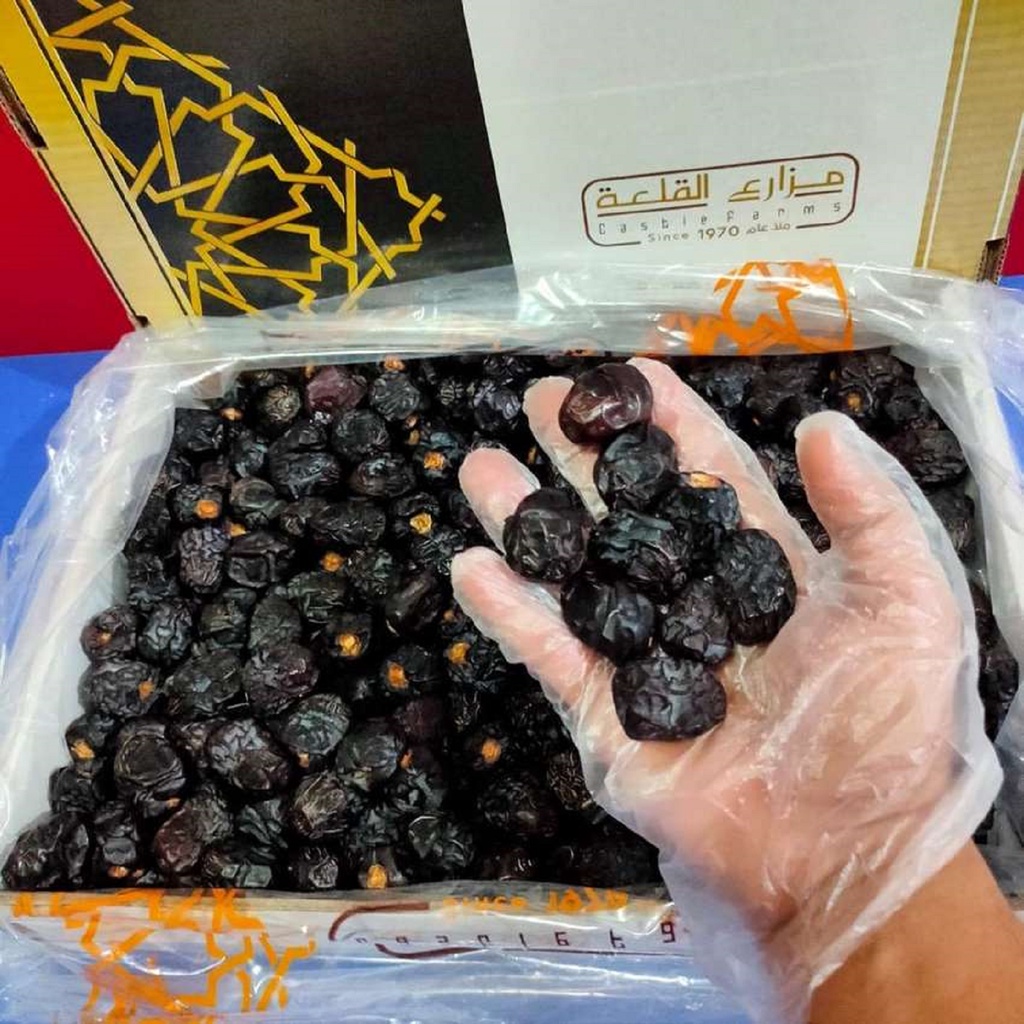 

Kurma Ajwa 5kg (Original Import Arab Saudi - Madinah)