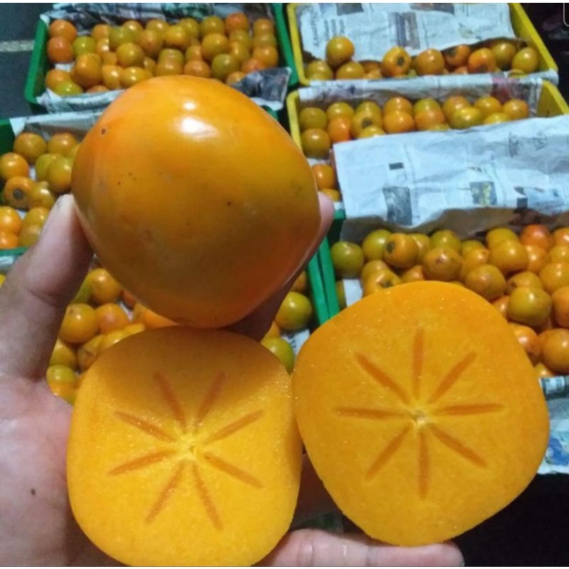 buah persimmon  kesemek segar tanpa bedak