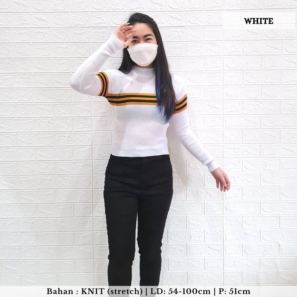 2634 stripe turtleneck knit