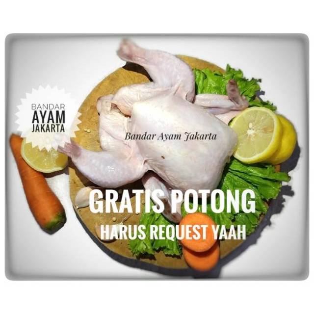 

Ayam Potong Frozen Broiler uk 5-6/500 - 600 gram/5 - 6 ons/Karkas/Ayam Broiler/Ayam Frozen/Ayam Beku