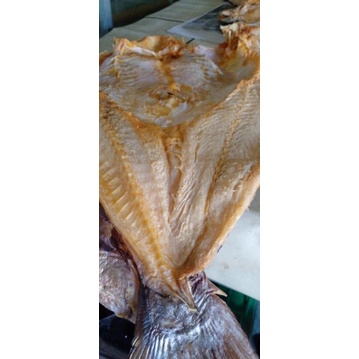 

Ikan Kering Jambal Roti Super 1kg Cilacap