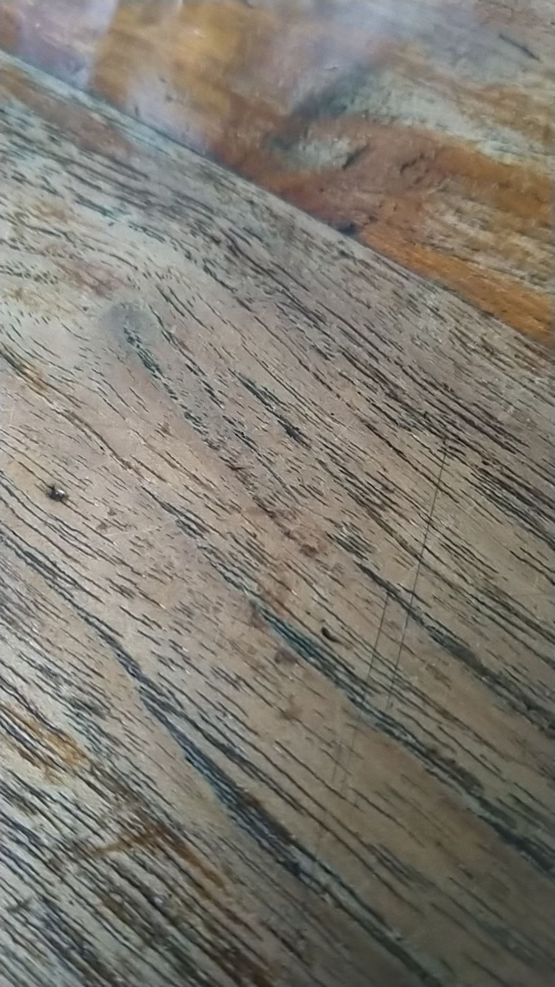 Toples Plastik Bumbu Dapur Paket C#toplesbumbudapur#toplesplastik