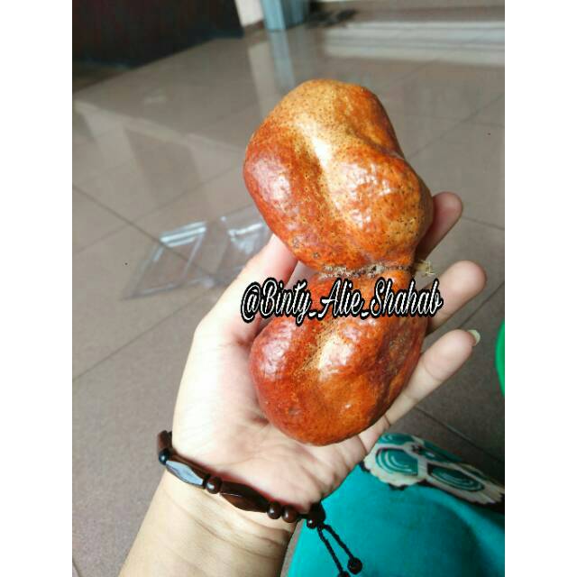 

Buah Zuriat kembar Asli arab