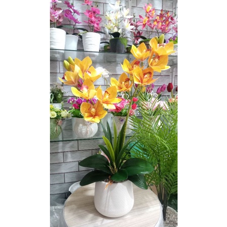 Rangkaian anggrek latex cymbidium