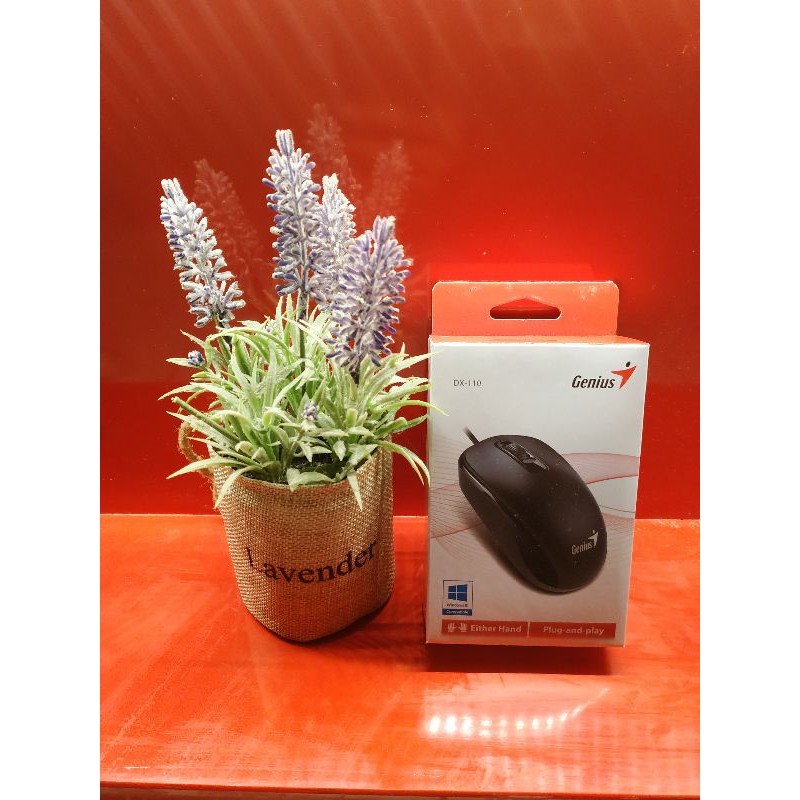 Mouse usb genius DX125