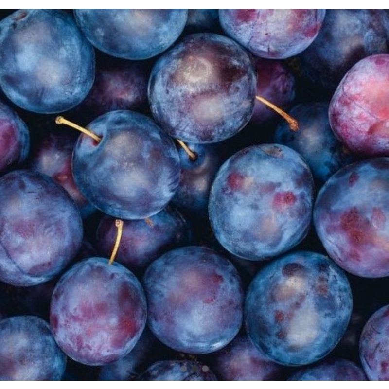 

Buah plum Amber Red Import