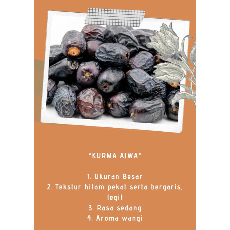 

KURMA AJWA