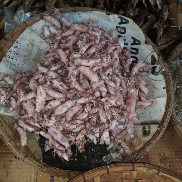 

Cumi Asin Telur Selat Sunda Panimbang Pandeglang Banten