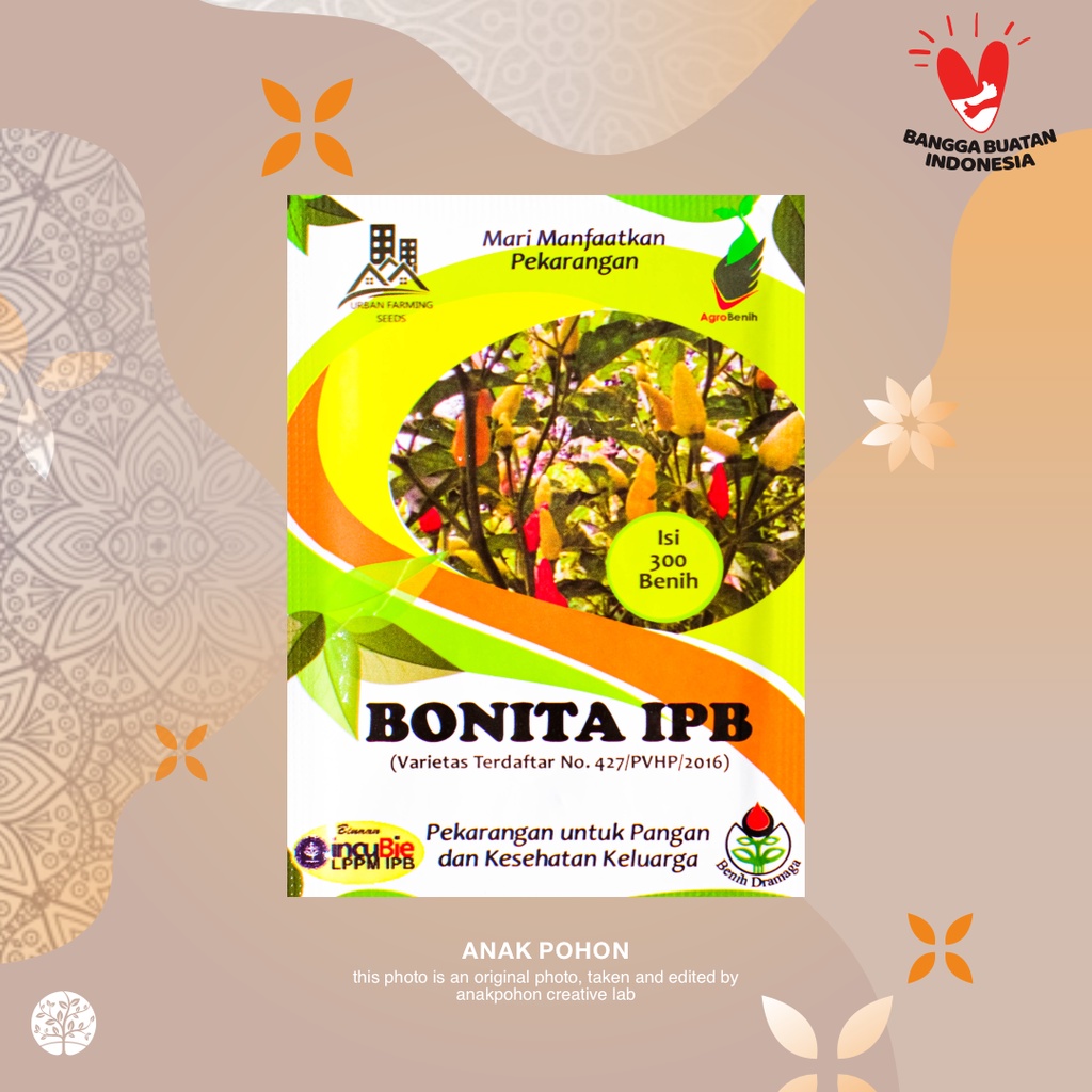 (1 PACK) Benih Cabai Rawit Putih Bonita IPB Seeds - IPB Retail Pack - 300 SEEDS