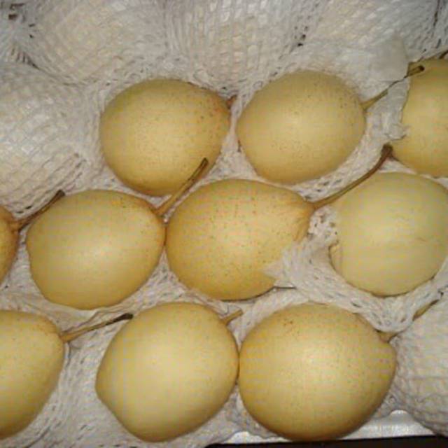 

PEAR YALIE SUPER 500GRAM