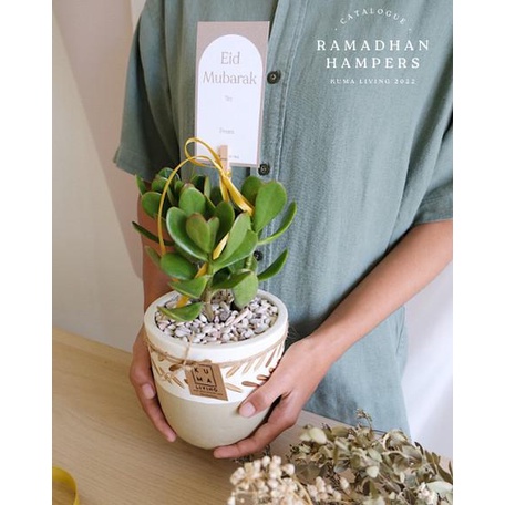 

JADE PLANT - Hampers Lebaran / Parcel Idul Fitri