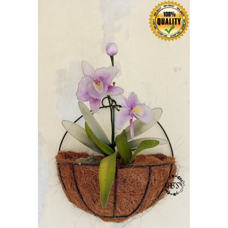 POT SETENGAH LINGKARAN pot sabut kelapa besi |  pot bunga gantung | keranjang bulat tanaman anggrek