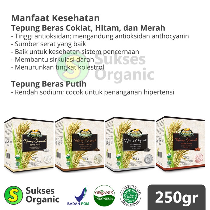 

Ketan-Beras-Tepung- Tepung Pisang Organik Mpasi | 250Gr | Bionic Farm -Tepung-Beras-Ketan.