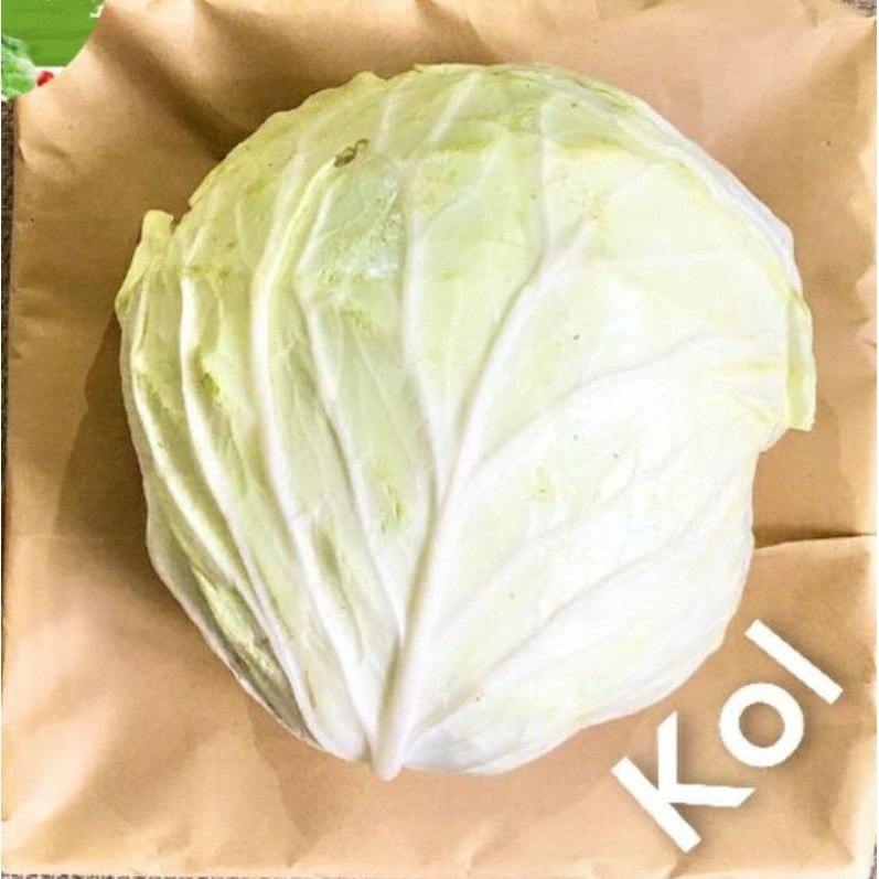 

Kol PuTiH /KubIsKu