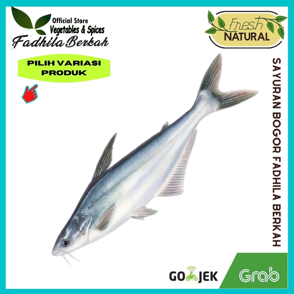 

Ikan Patin segar 500gr 250gr | ikan segar bogor| Sayuran segar Bogor | Toko Fadhila Berkah Bogor