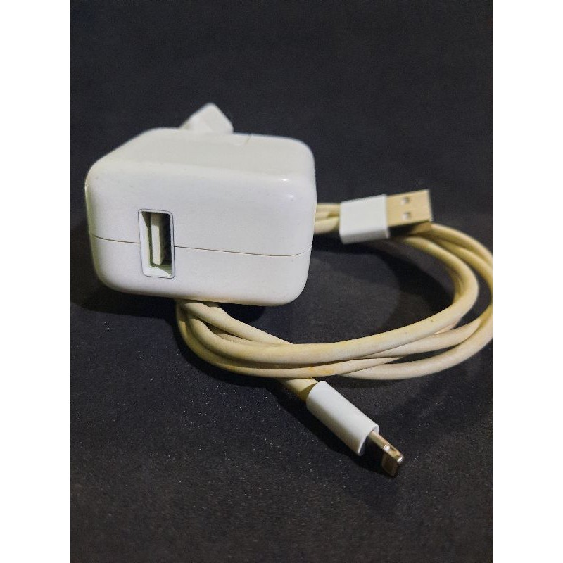 Charger ipad PRO ipad 2019 ipad 6 ipad Mini5 ipad Air ipadMini  2019 12WATT 2.4A ORI