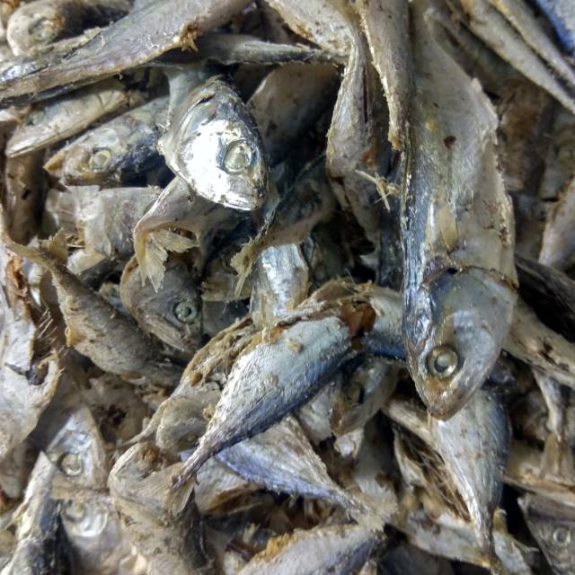 

Ikan asin sampah gembung , asli Medan ,berat 250 gram