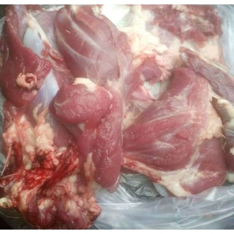 

daging kambing muda