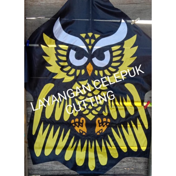 layangan celepuk burung hantu