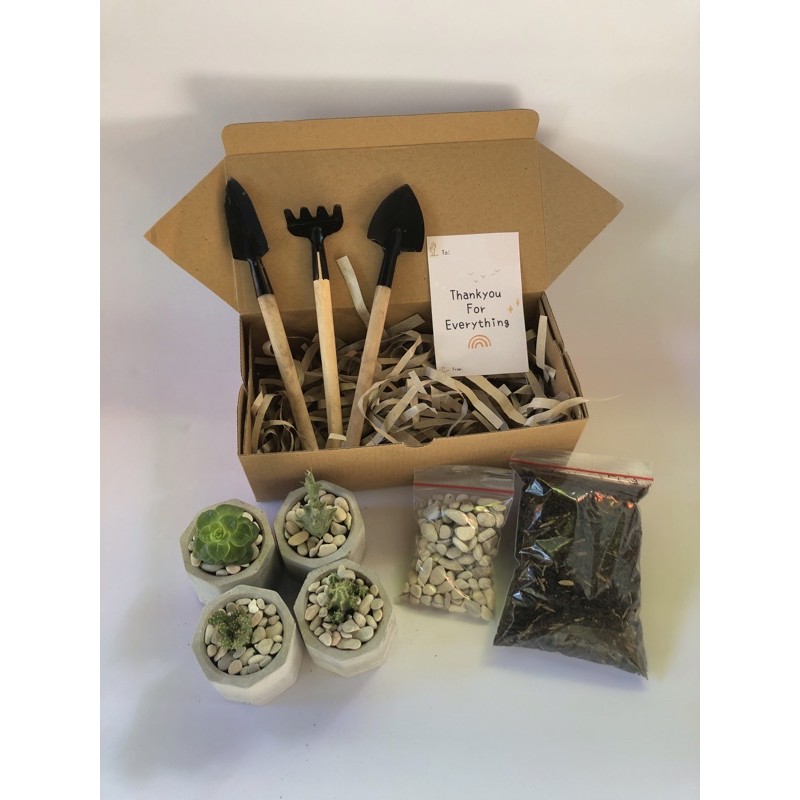 Kaktus sukulen kit | Hampers birthday, graduation, valentine | Kado
