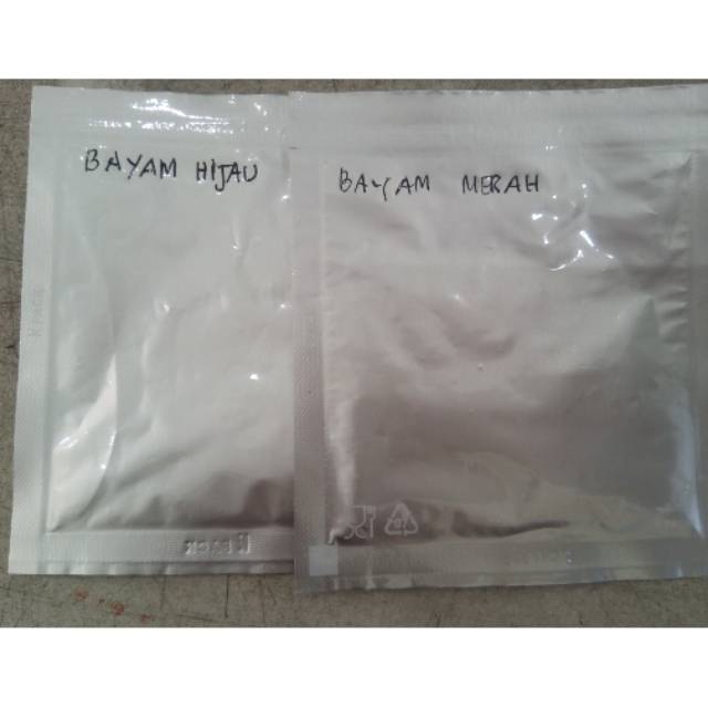 Bibit tanaman hidroponik